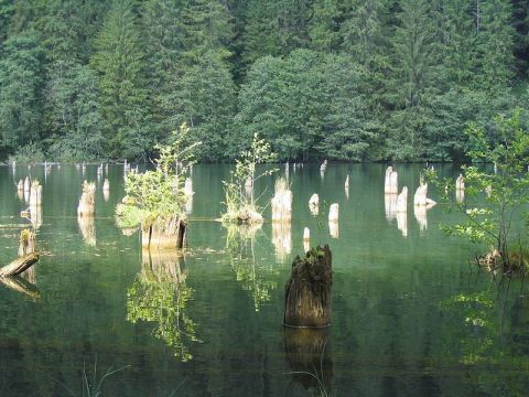 Gyilkos-tó, fotó: [[http://commons.wikimedia.org/wiki/File:Gyilkost%C3%B3_3.jpg|commons.wikimedia.org]]