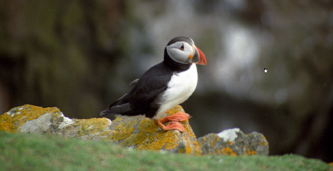 Luke Skywalker szigete Luke Skywalker szigete