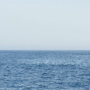point_nemo_2.png