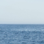 point_nemo_4.png